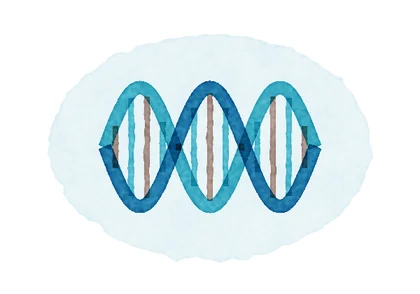 DNA double helix